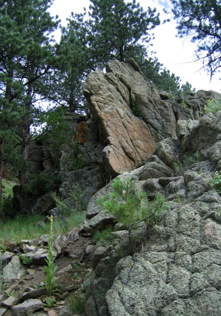 creekside rocks