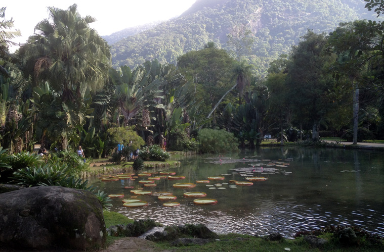 Pond with lily pads and mountain in distance at the Rio Botanical Gardens