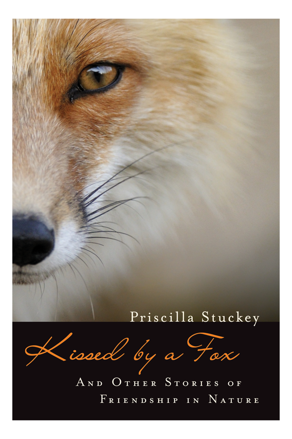 Kissed by a Fox is a finalist for the ForeWord Book of the Year book awards.
