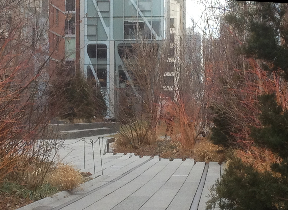 The High Line park in February