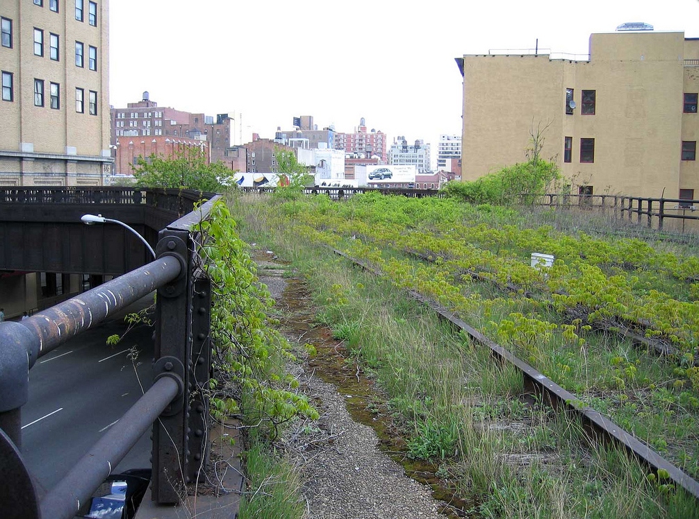 Wildflowers on the line, from Friends of the High Line park