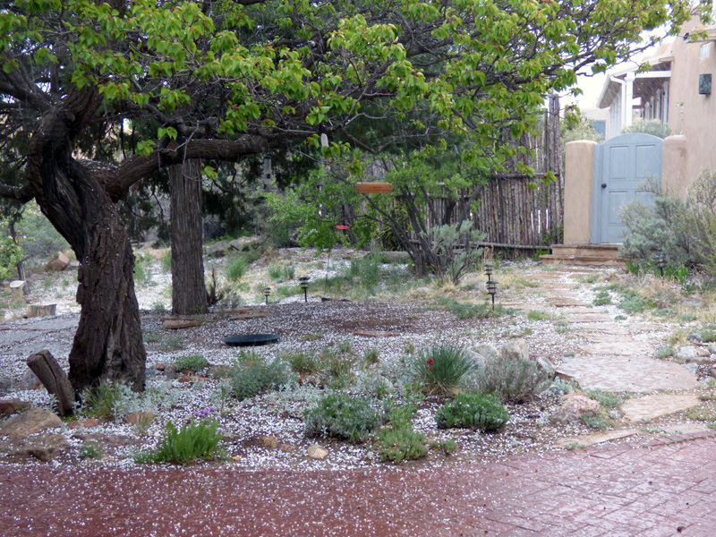 snow-sleet-hail in May